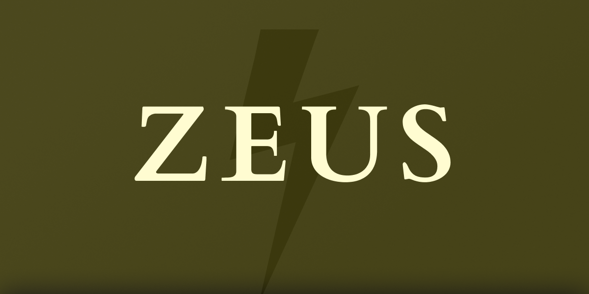 Zeus Socket Daemon